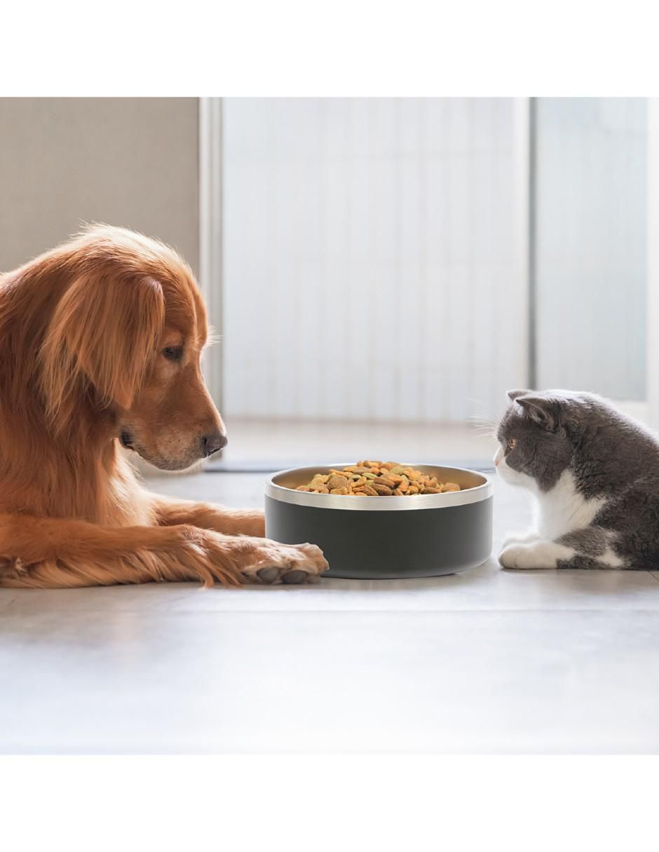 Plato para mascota 1.2 L 3