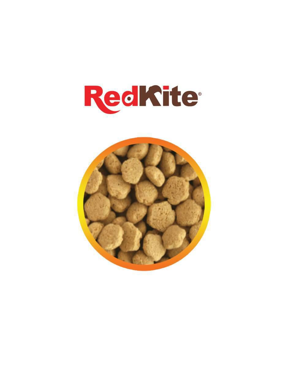 Semillas para hamster etapa adulto contenido 450 g 2