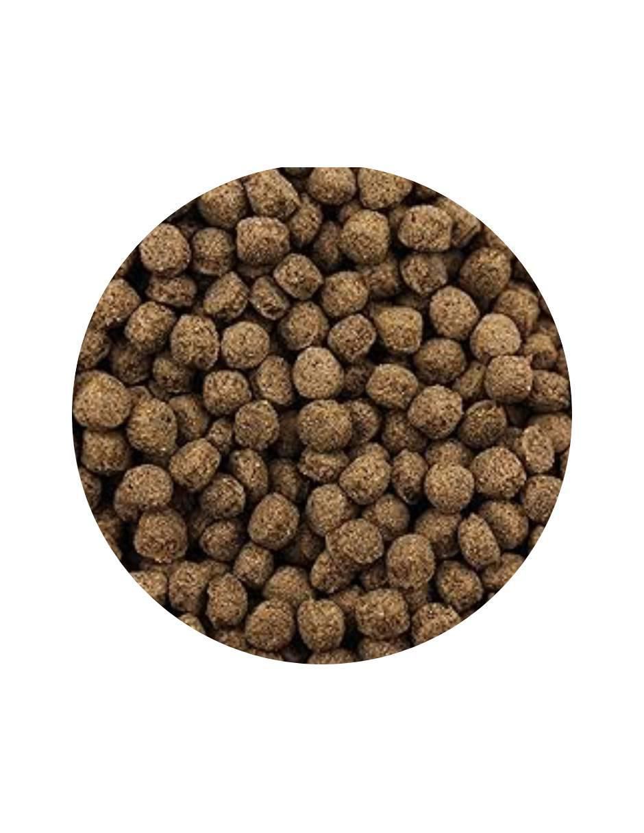 Semillas para tortuga todas las etapas contenido 90 g 2