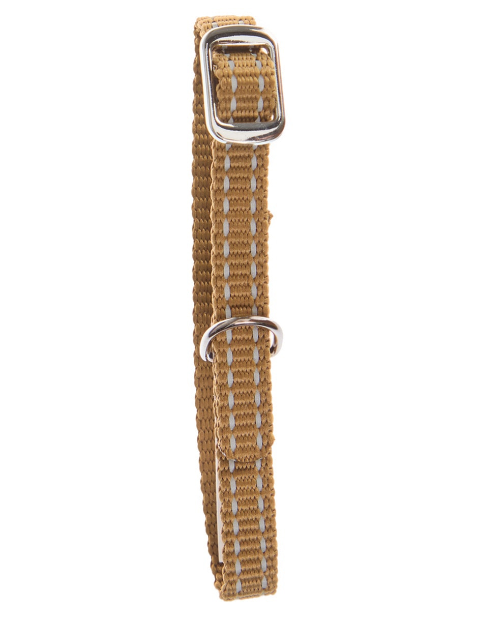 Collar para gato