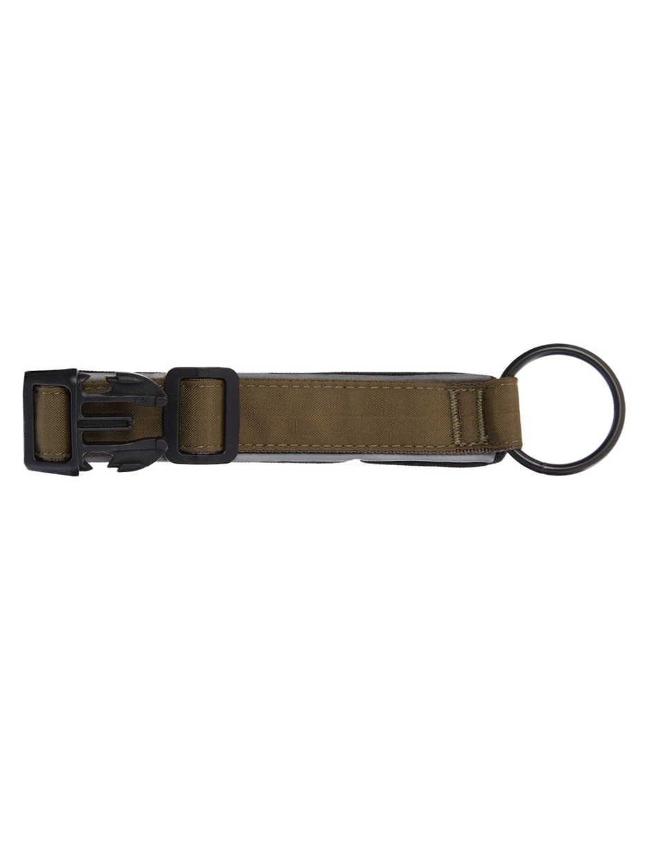 Collar para perro 4