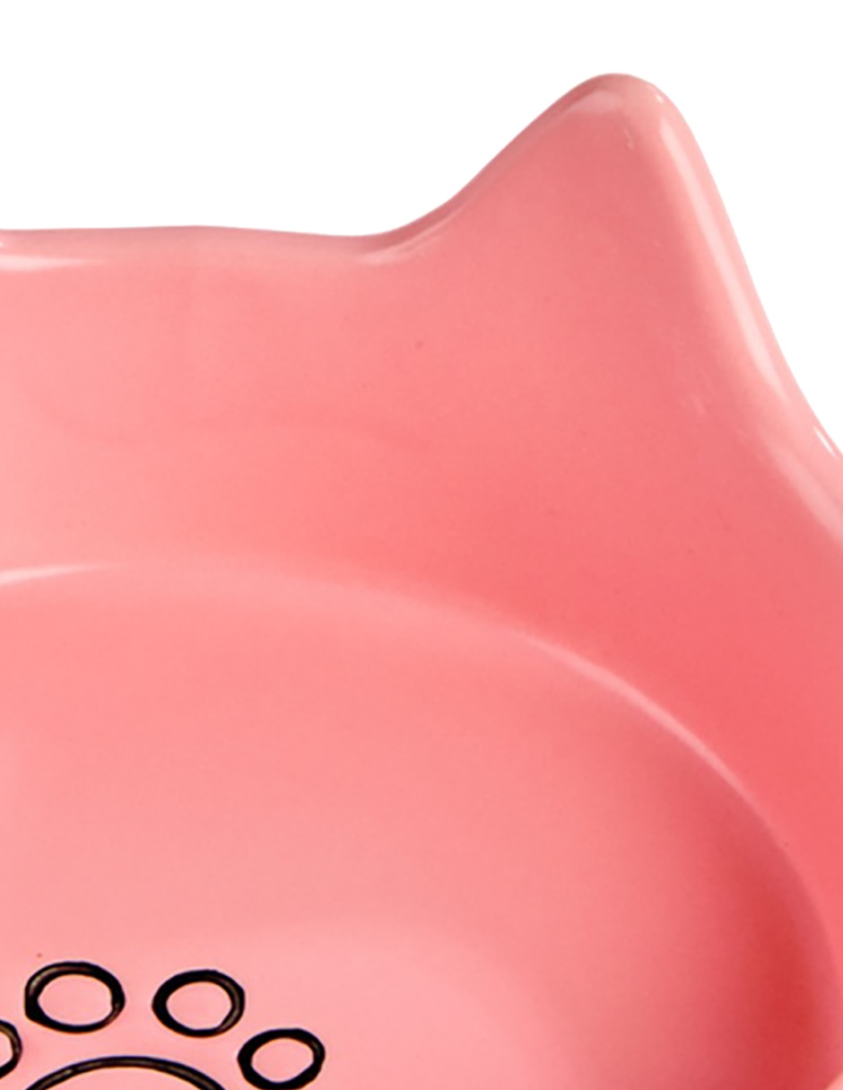 Set plato para gato 200 ml 7