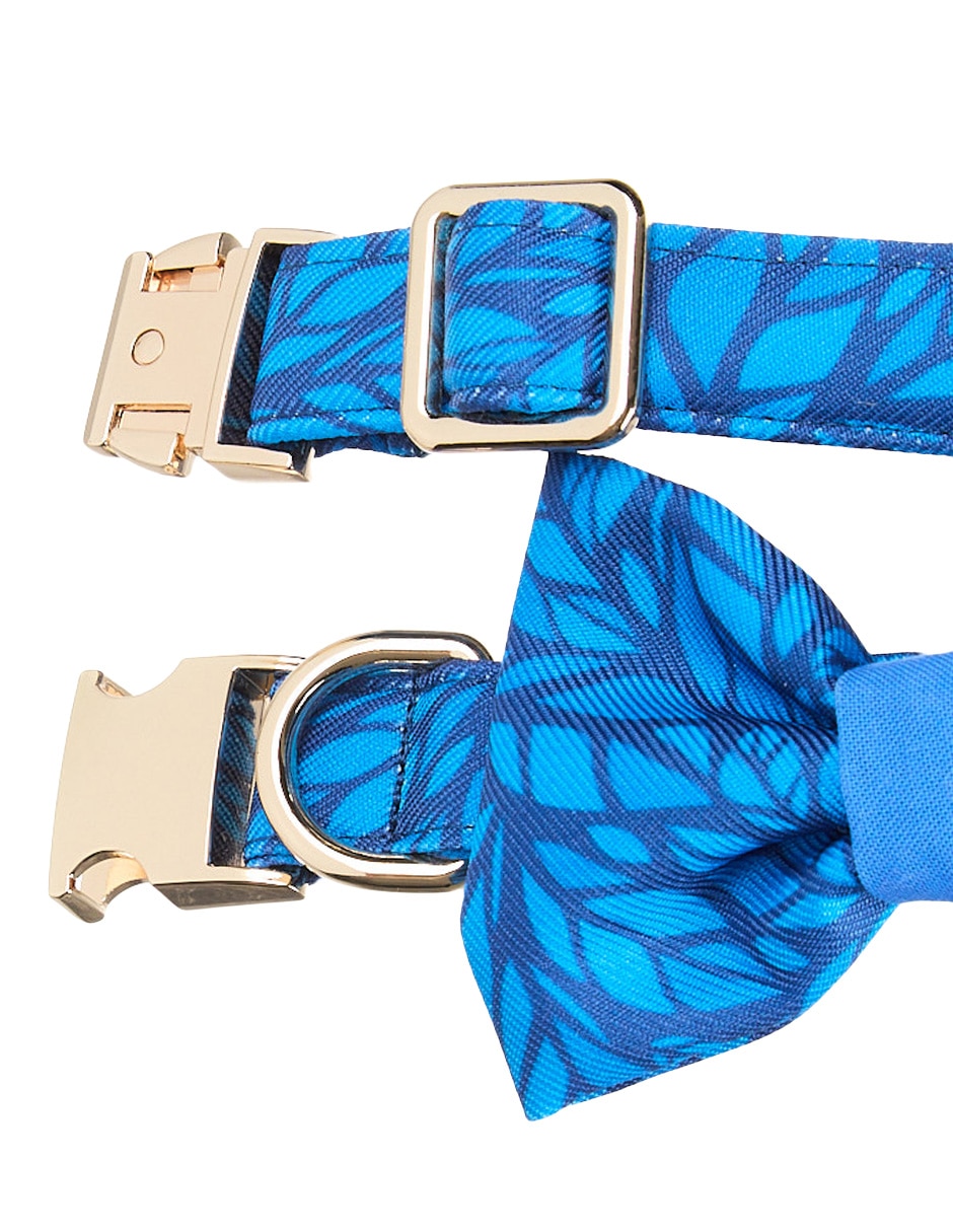 Collar para perro 2