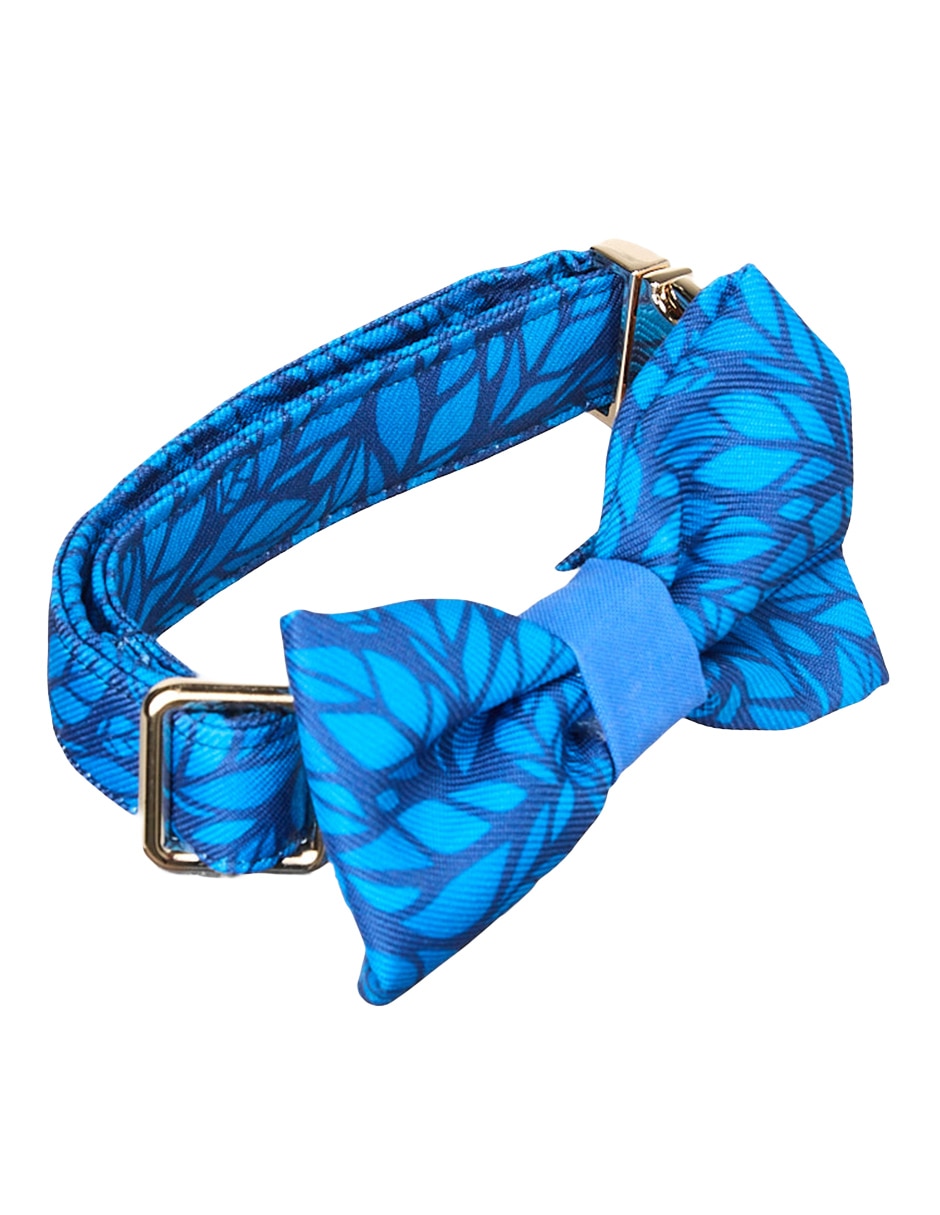 Collar para perro 3