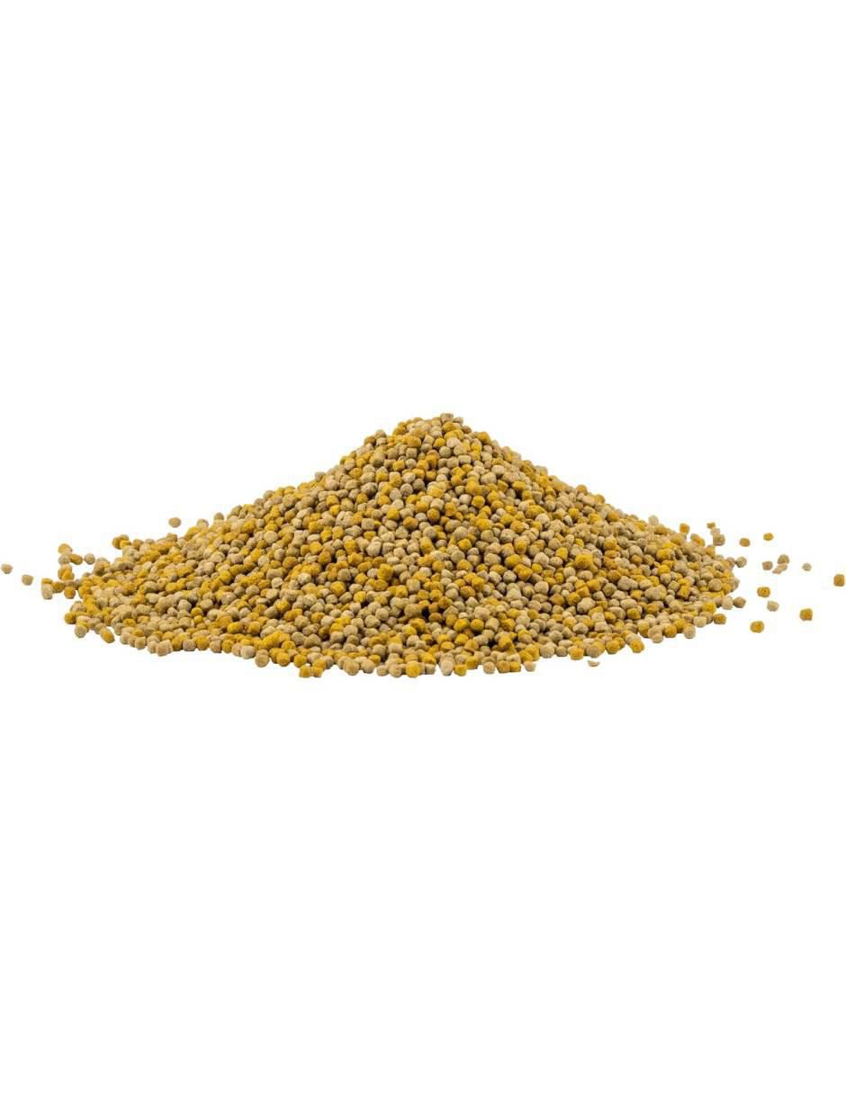 Semillas para iguana todas las etapas contenido 700 g 2