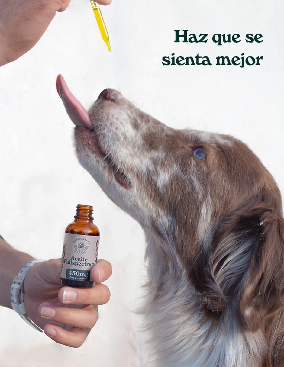 Aceite comestible para mascota perro y gato 4