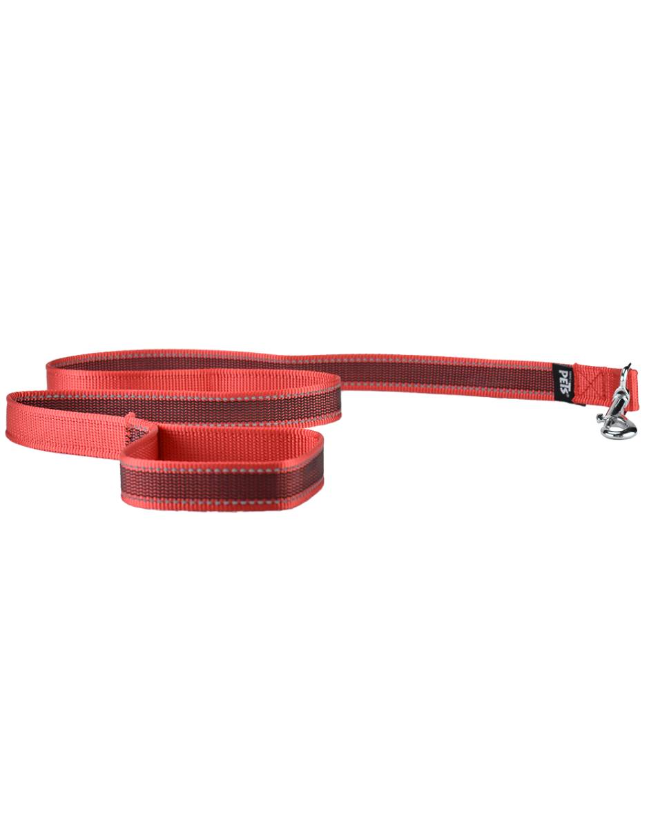 Correa de nylon para perro 2