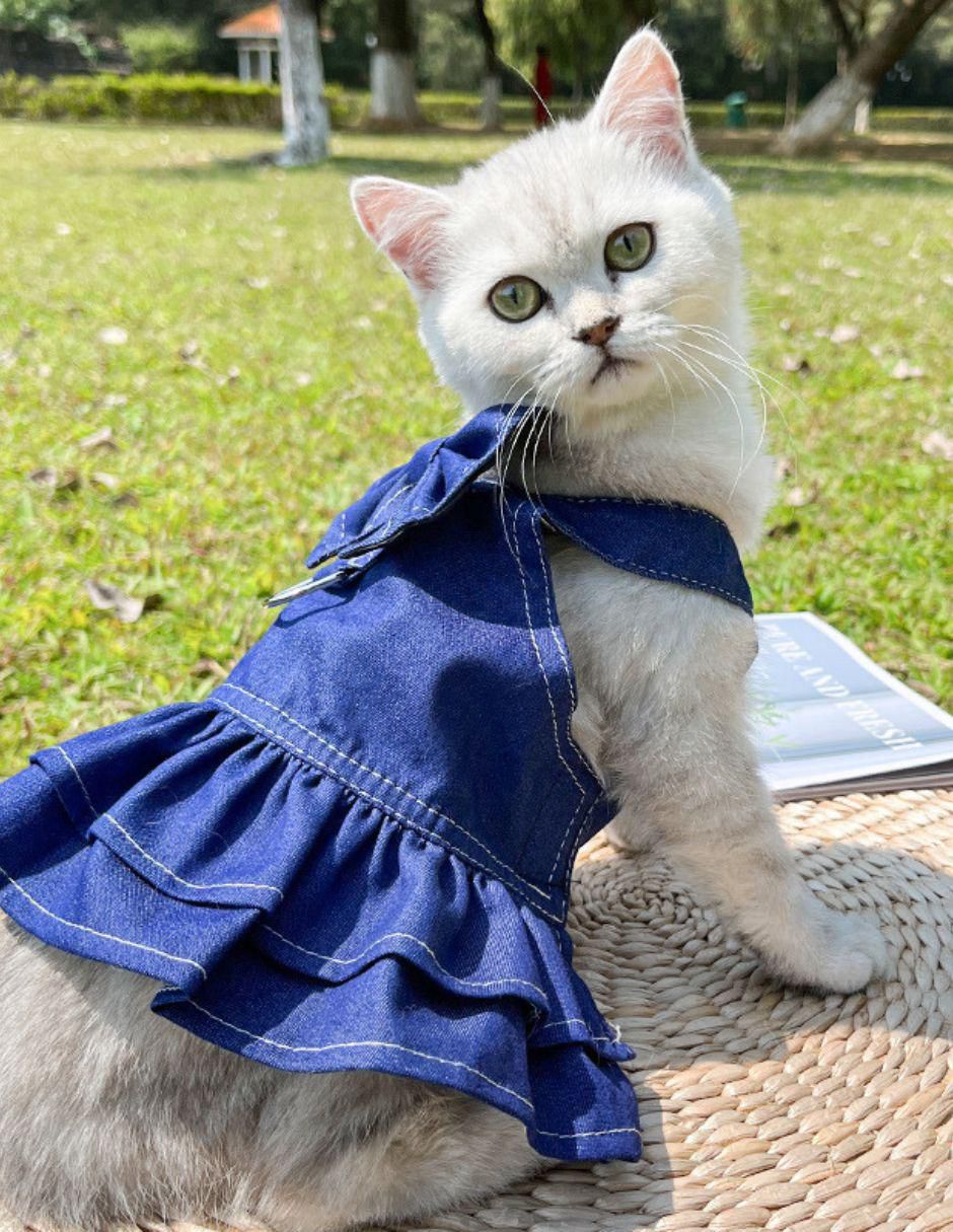 Vestido para perro Maypet Accesorios 7