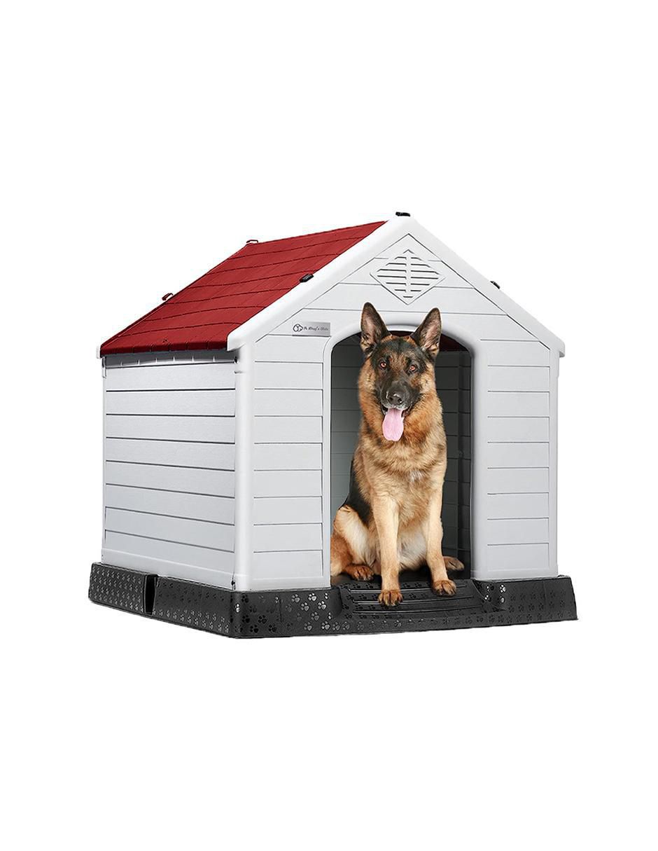 "casa para" perro level home