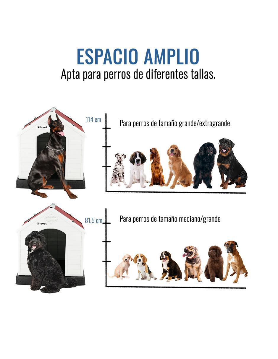 "casa para" perro level home