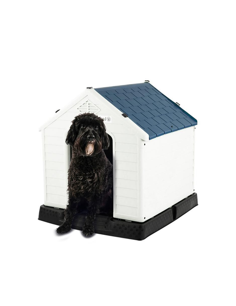 Casa para perro