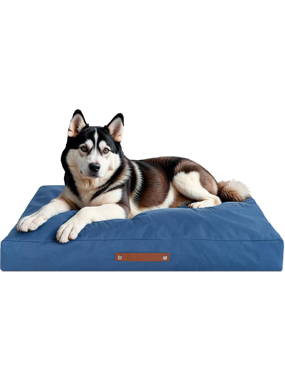 Cama para perro y gato