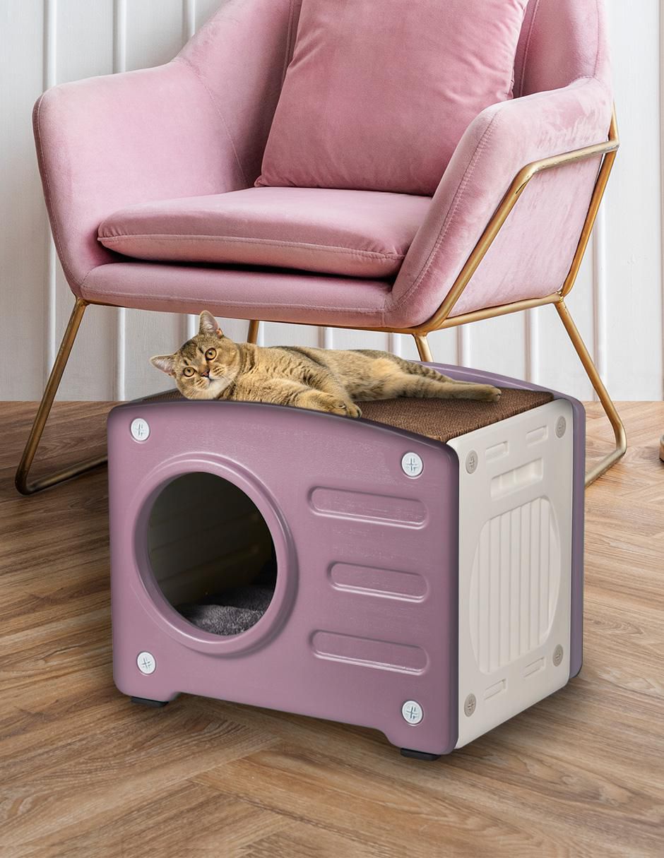 "casa para" gato level home