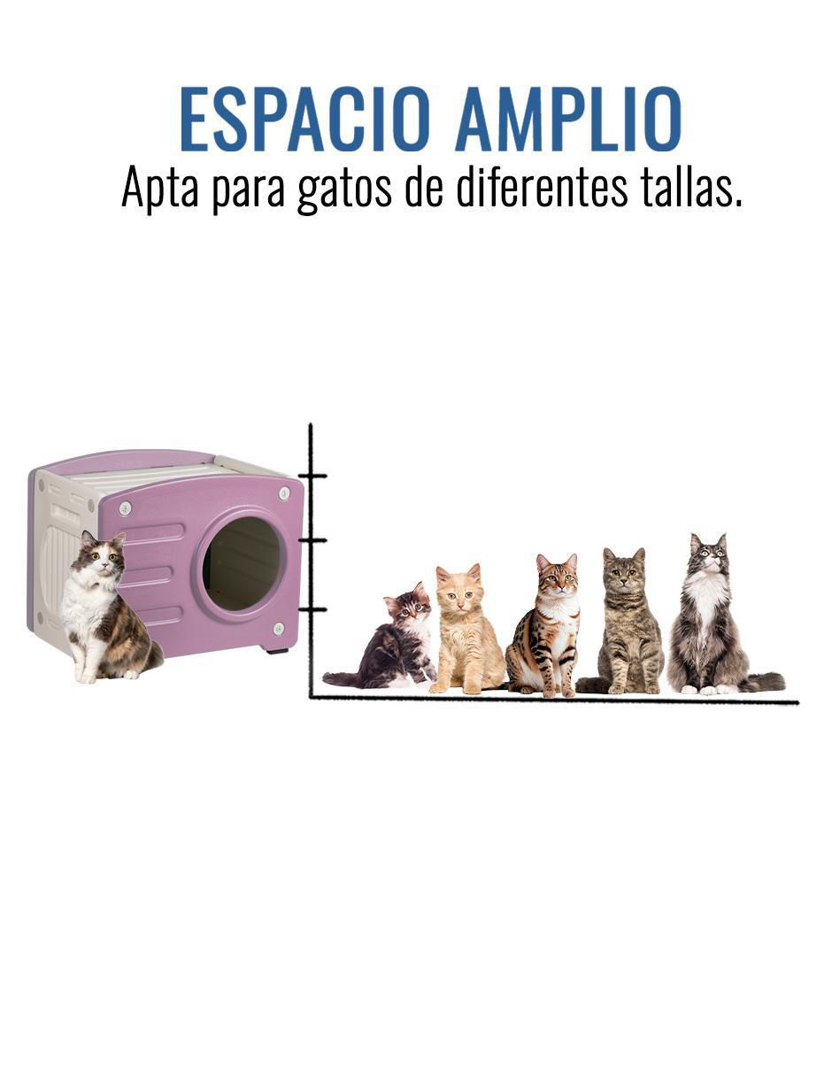 "casa para" gato level home