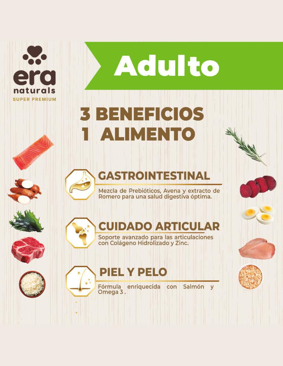 Croqueta de Salmón para perro etapa adulto contenido 2 kg 2