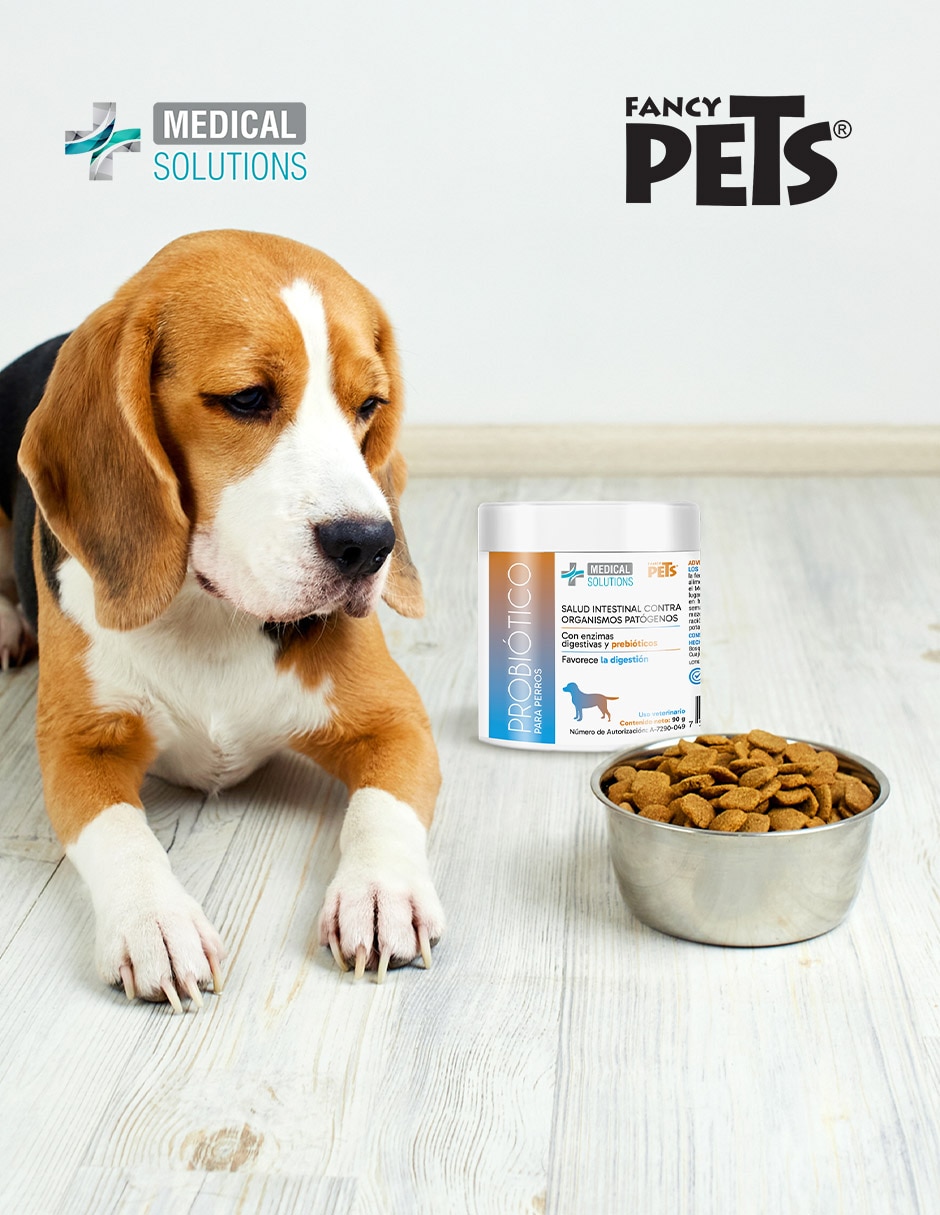 Probiótico para mascota 2