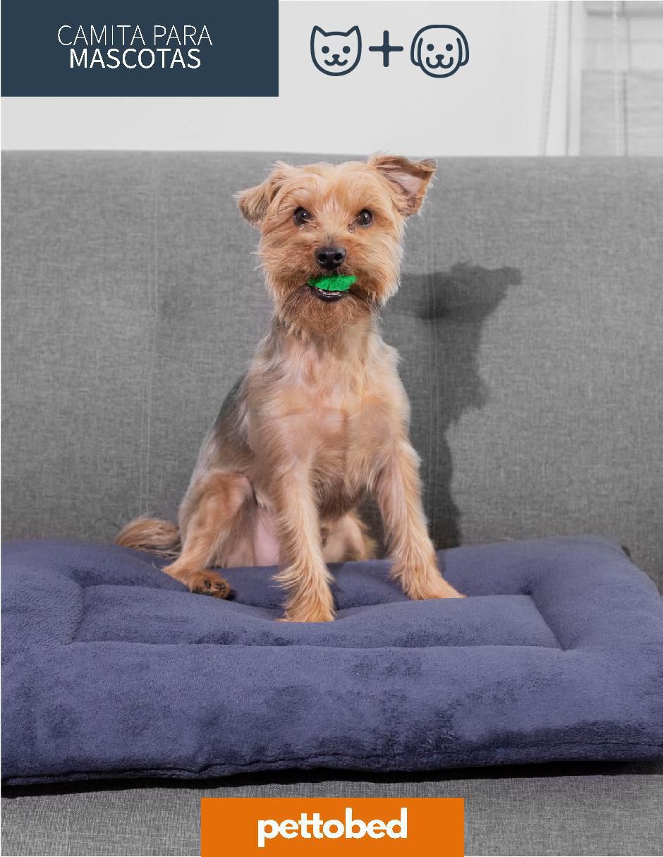 Cama para perro y gato 3