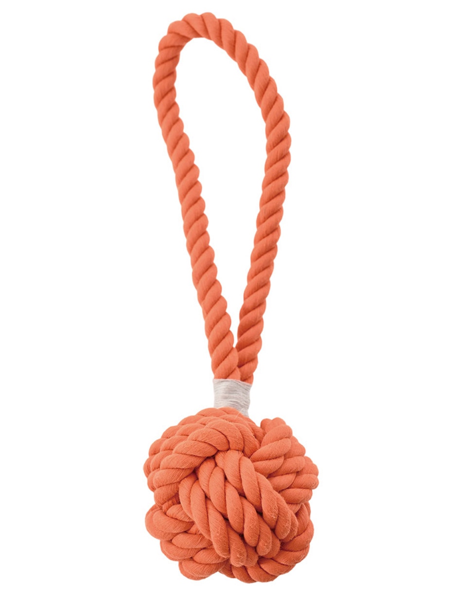 Kit de juguetes para perro 2