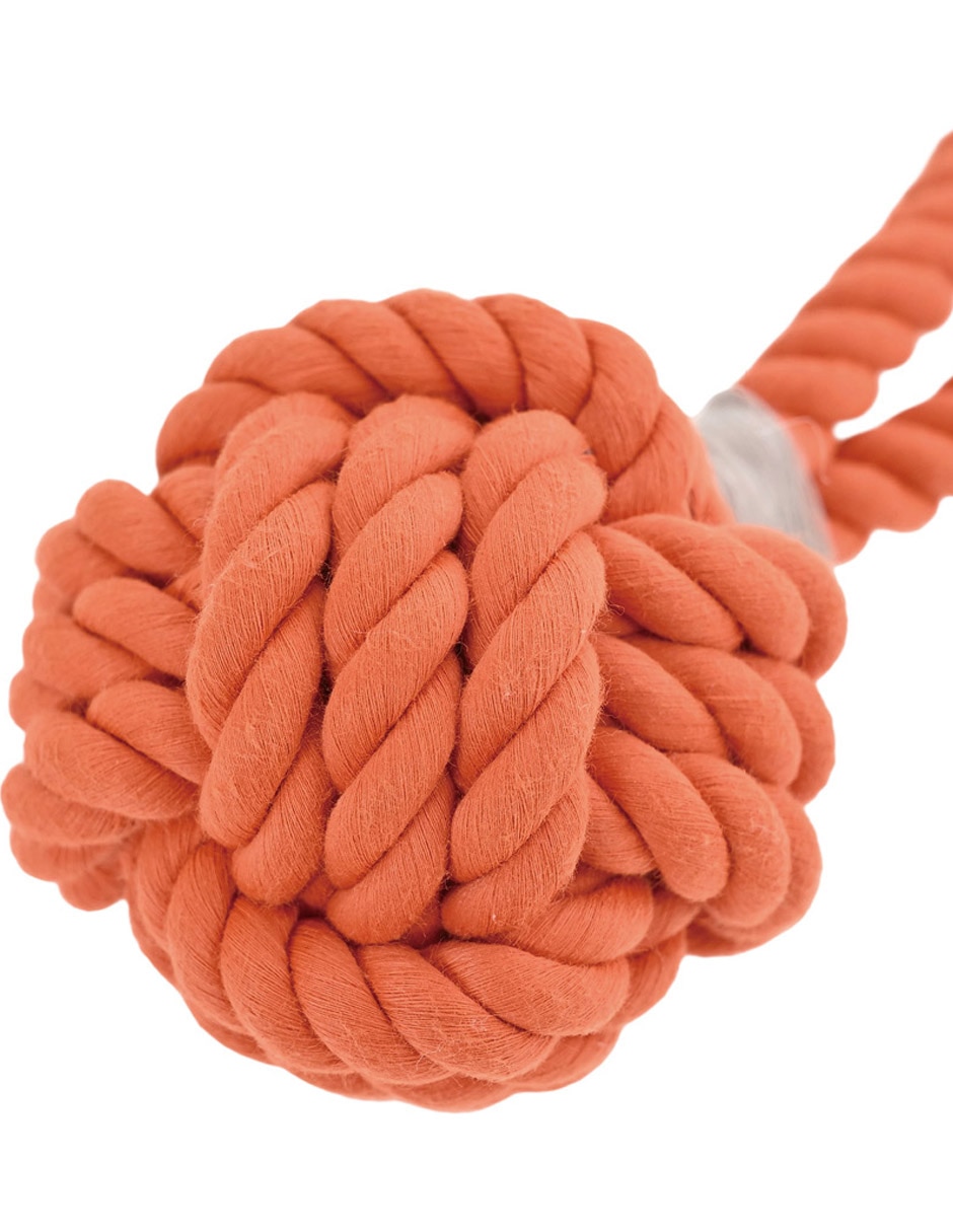 Kit de juguetes para perro 6