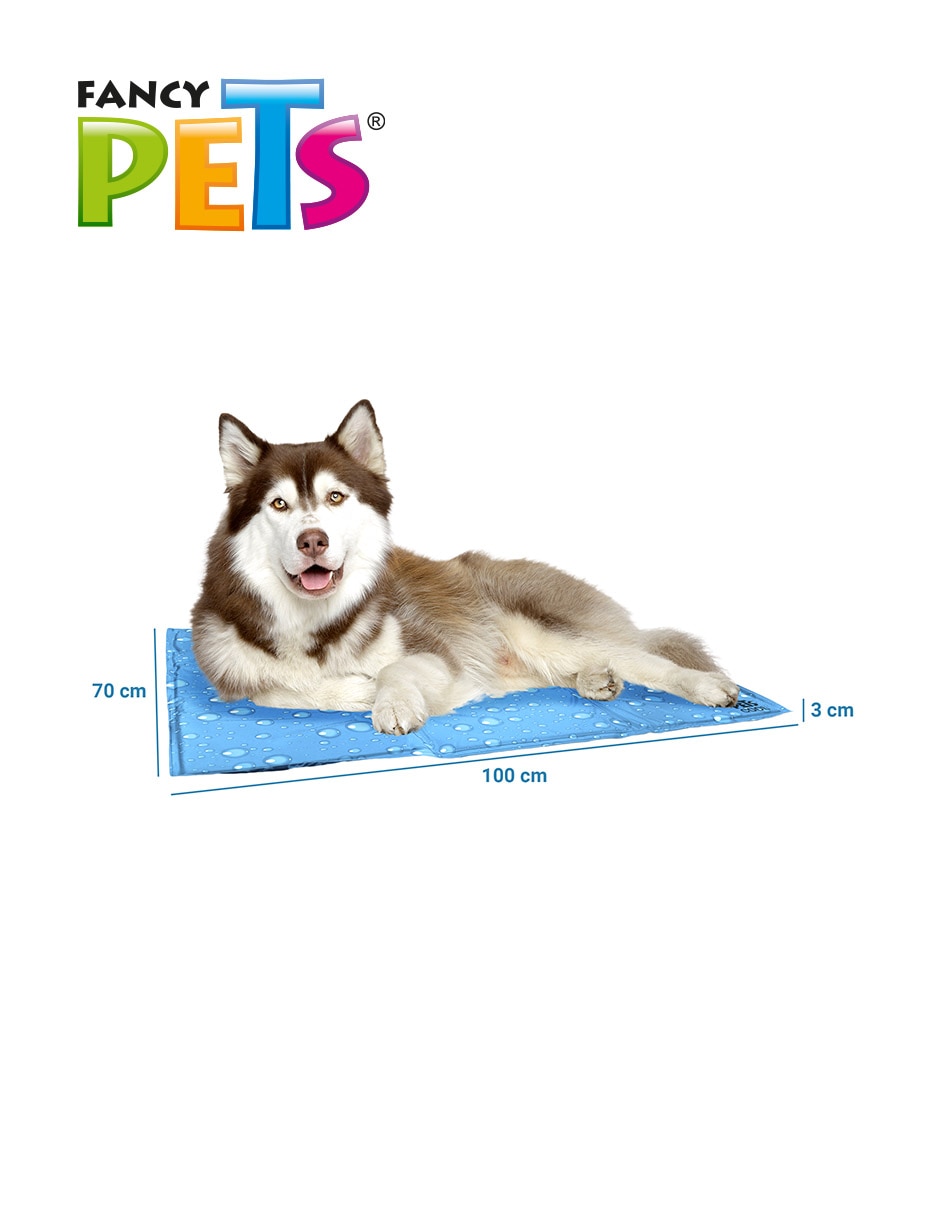 Cama para perro 3