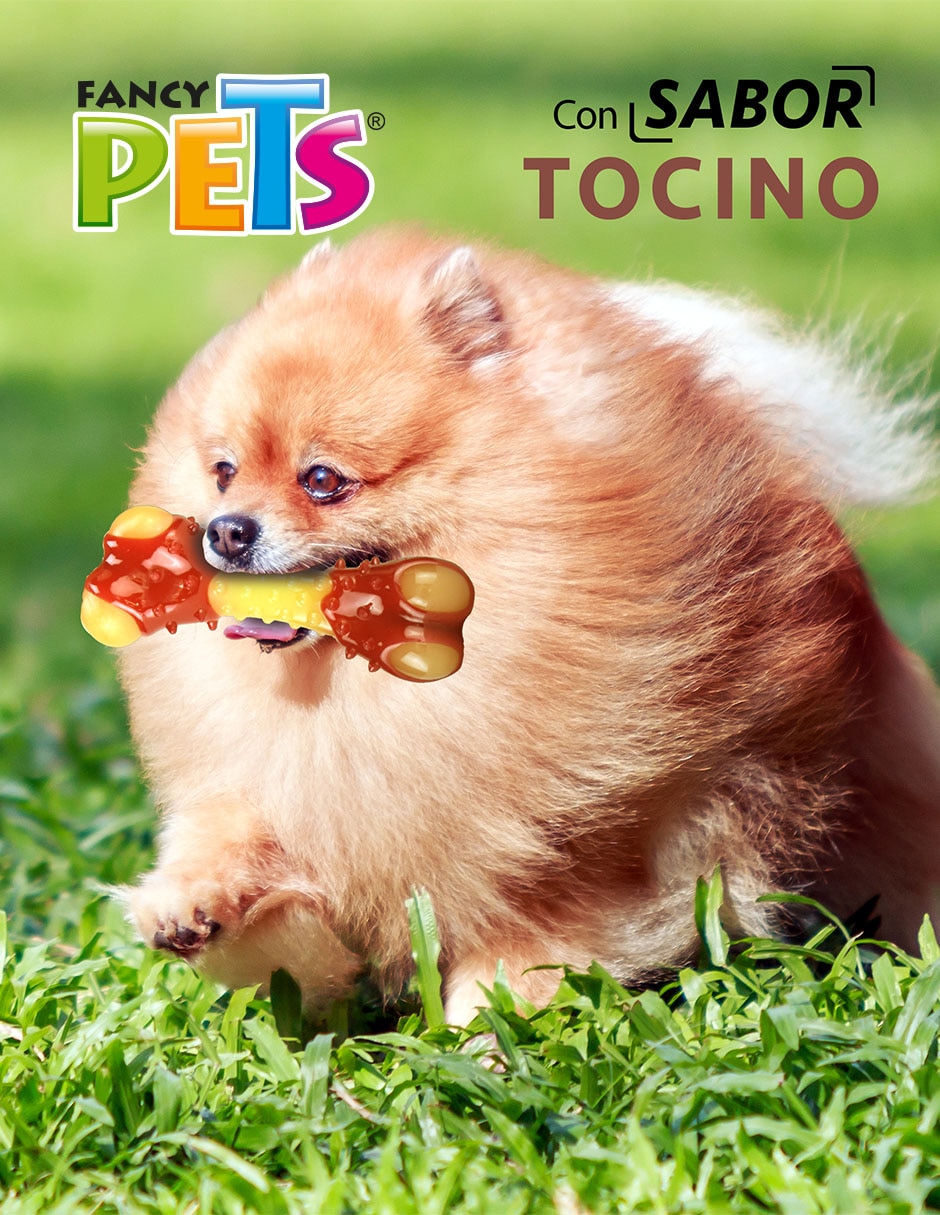 Juguete para perro 2