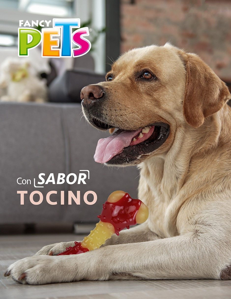 Juguete para perro 2