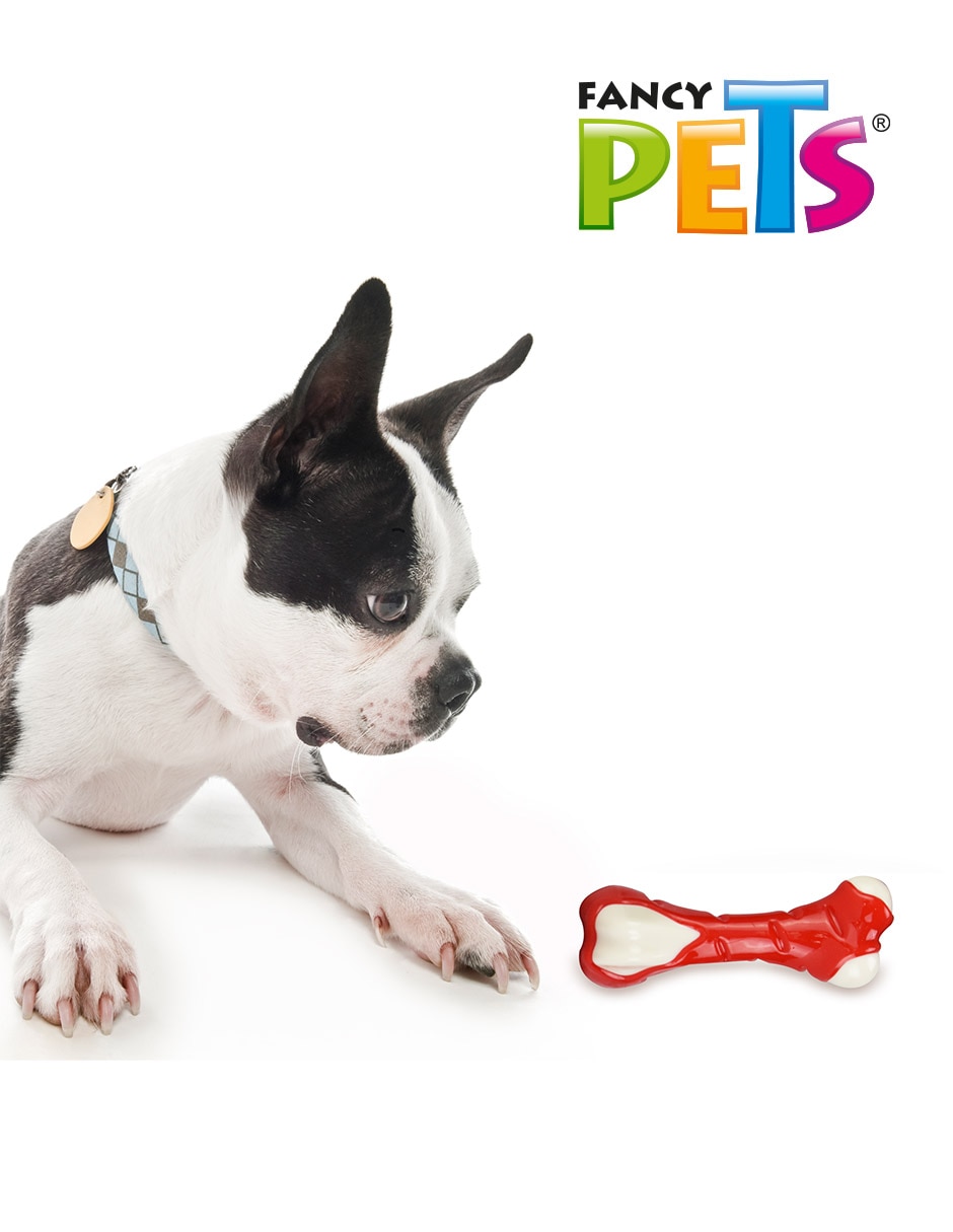 Juguete para perro 2