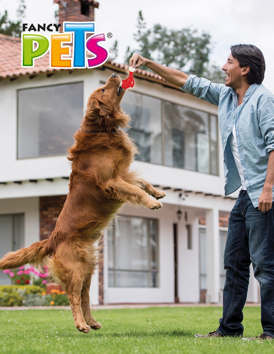 Juguete para perro 2