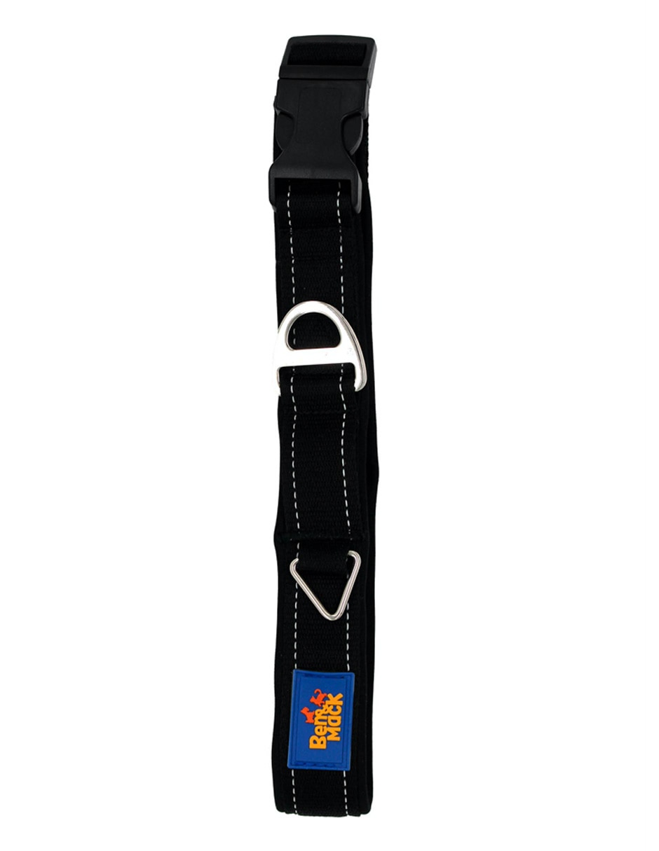 Collar para perro 2