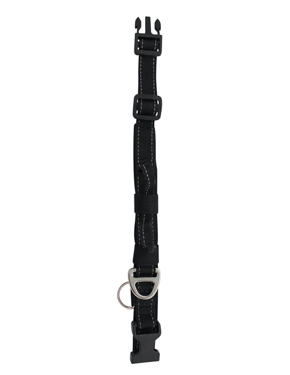 Collar para perro 3
