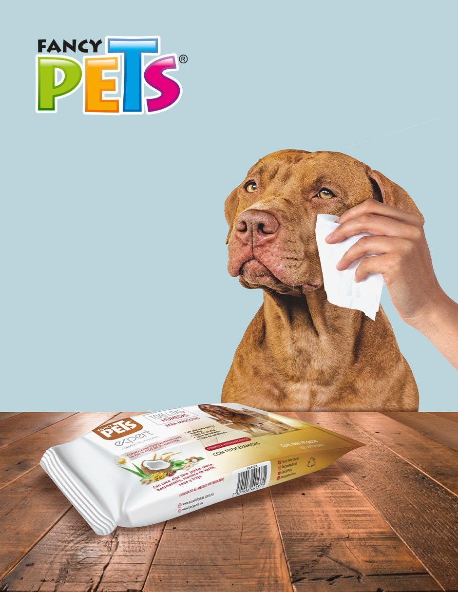 Toallas húmedas para mascota 2