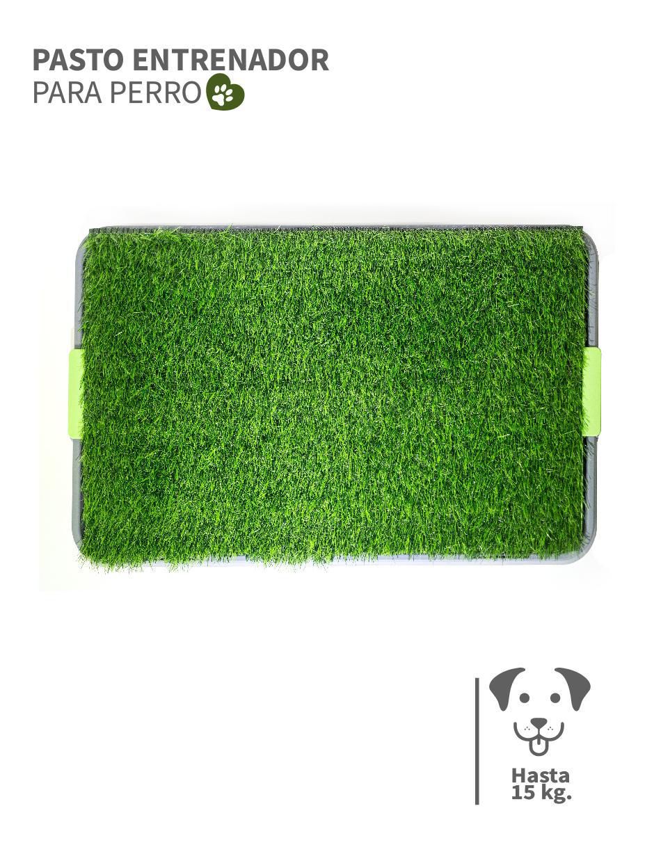Tapete para perro 2