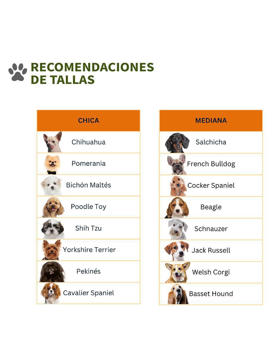 Tapete para perro 5