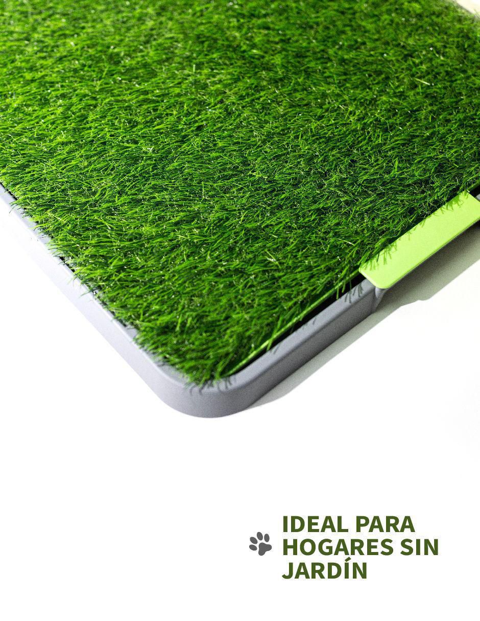 Tapete para perro 6