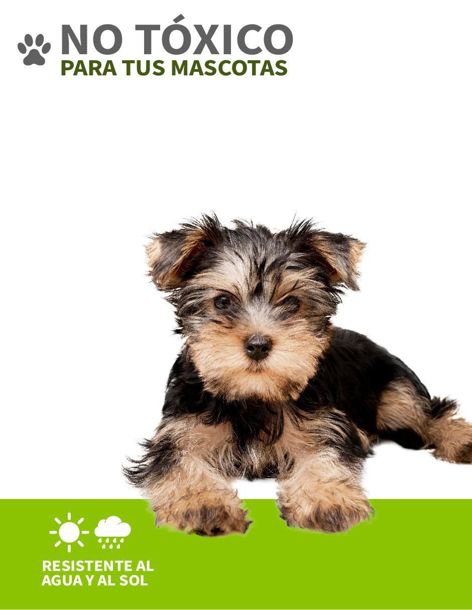 Tapete para perro 7