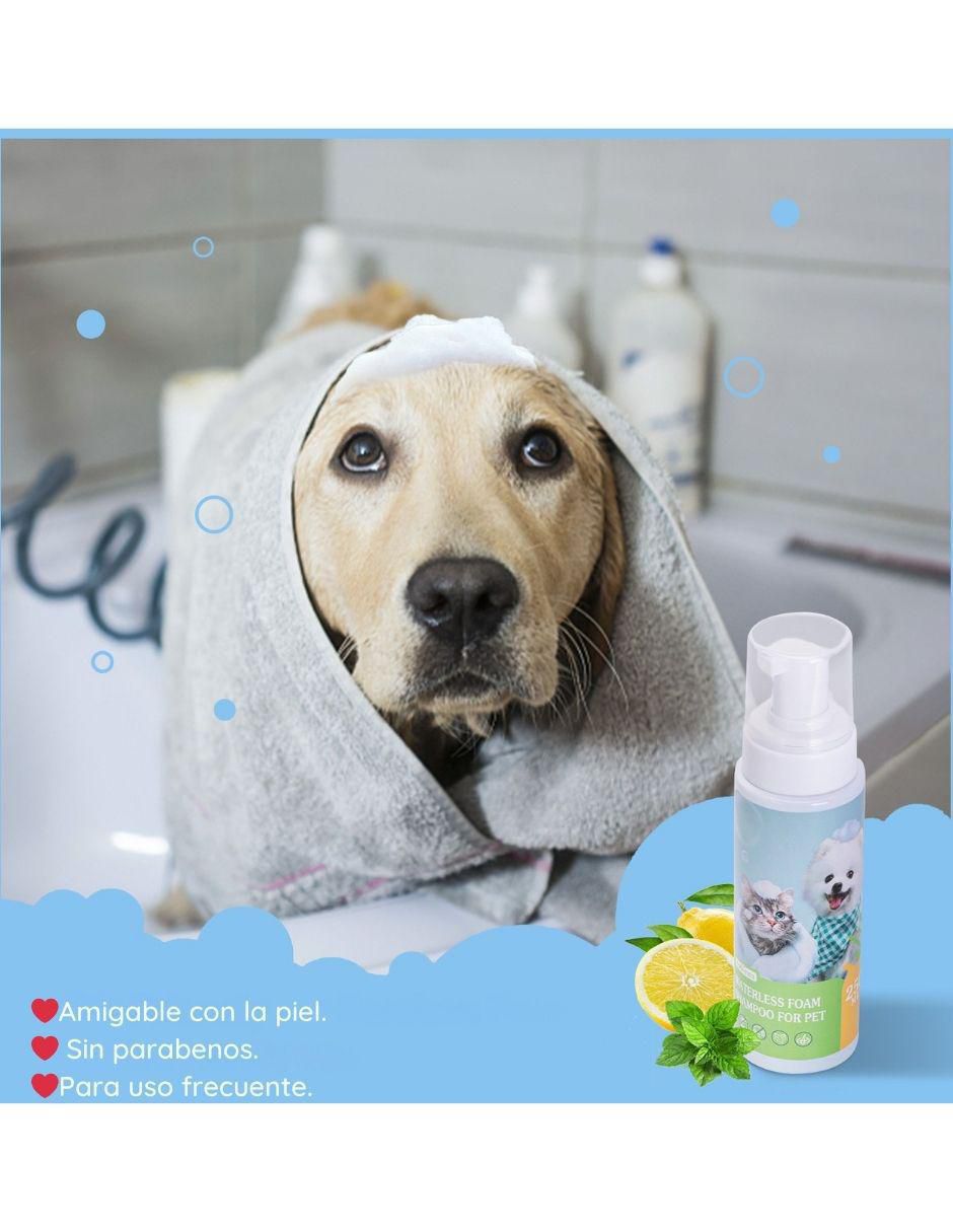 Set espuma baño en seco para perro 5