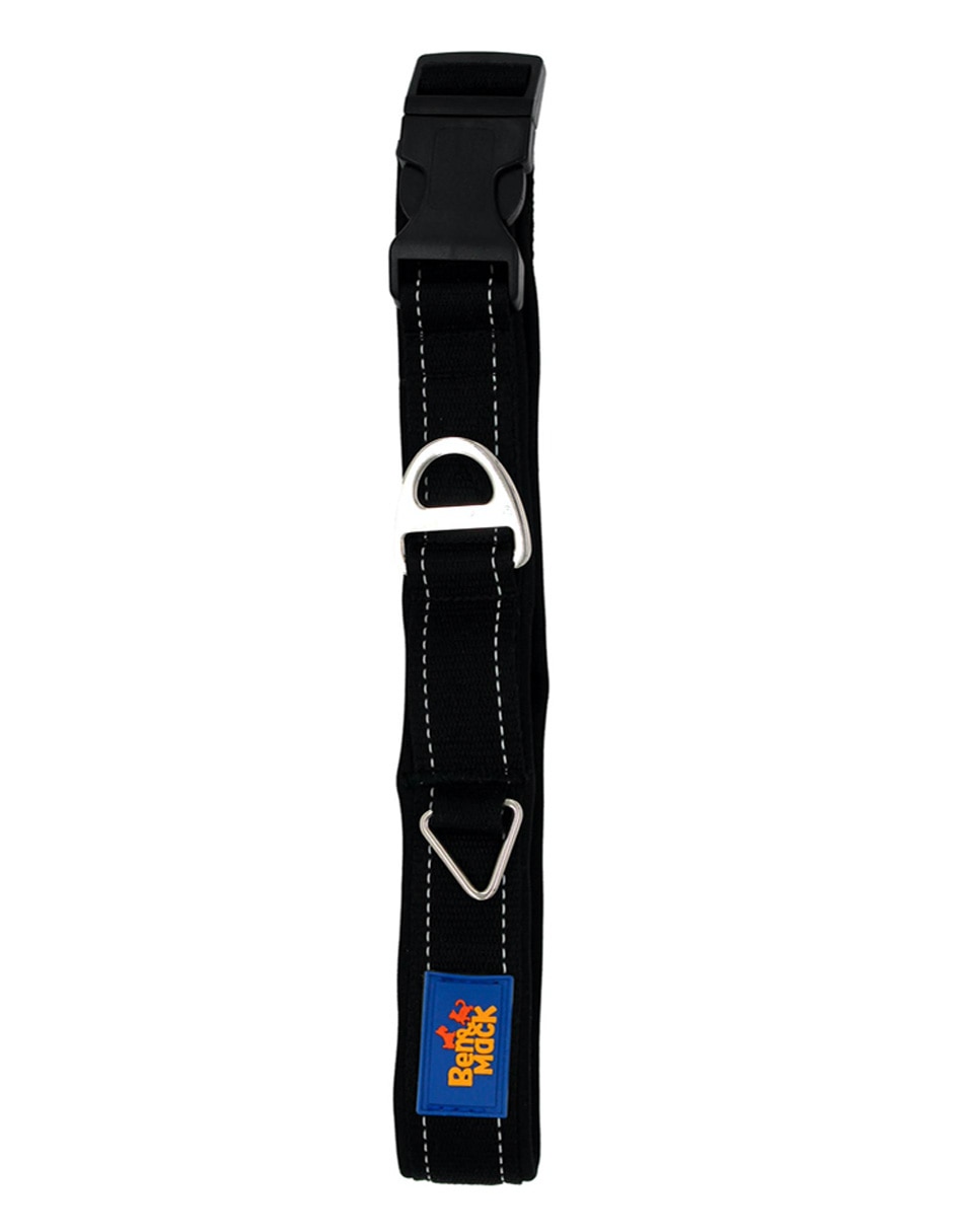 Collar para perro 2