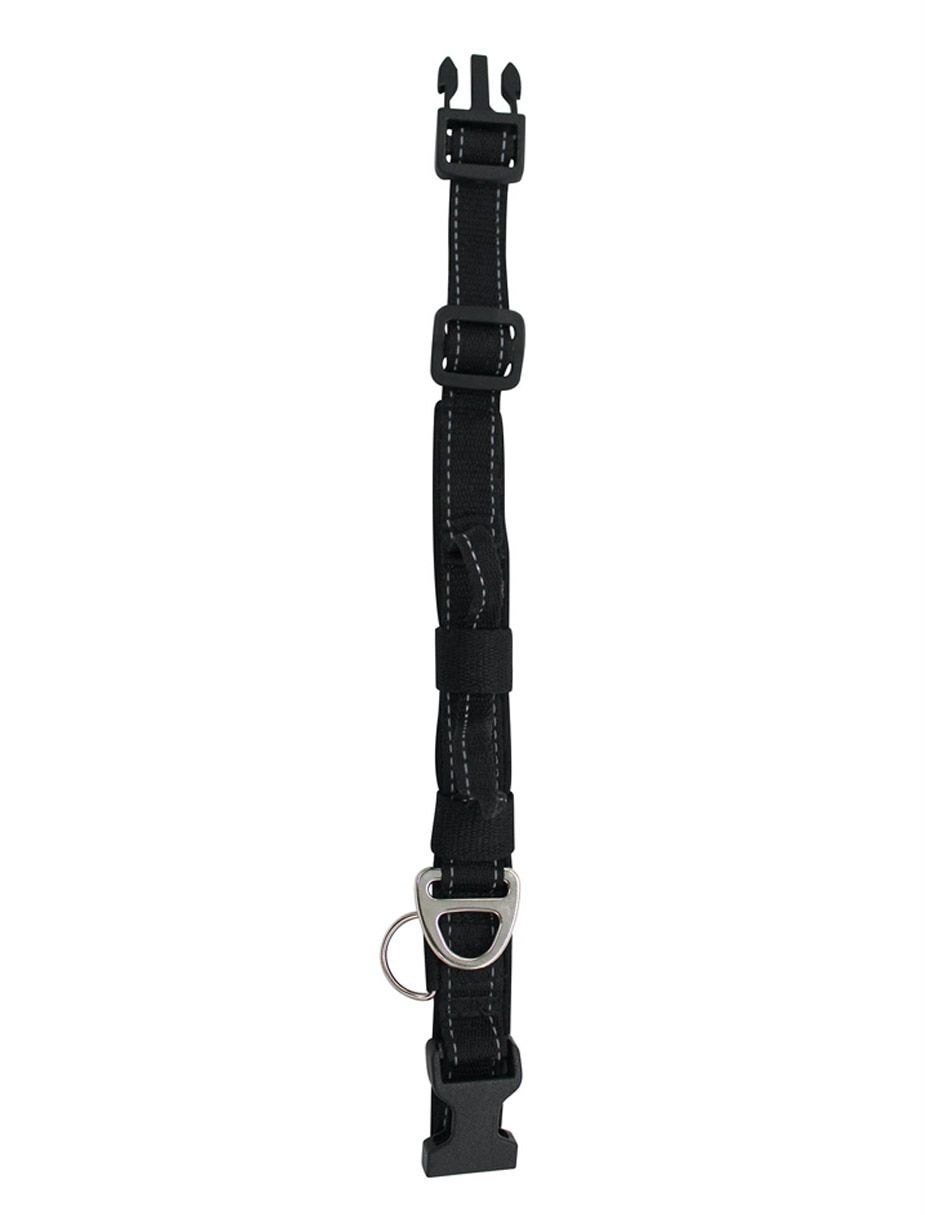 Collar para perro 3
