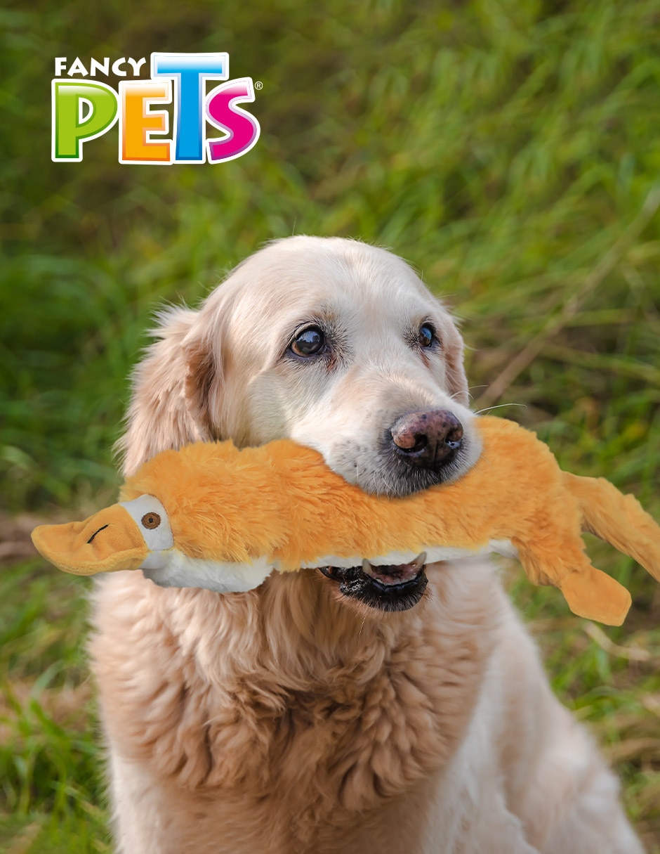 Peluche para perro Ornitorrinco 2
