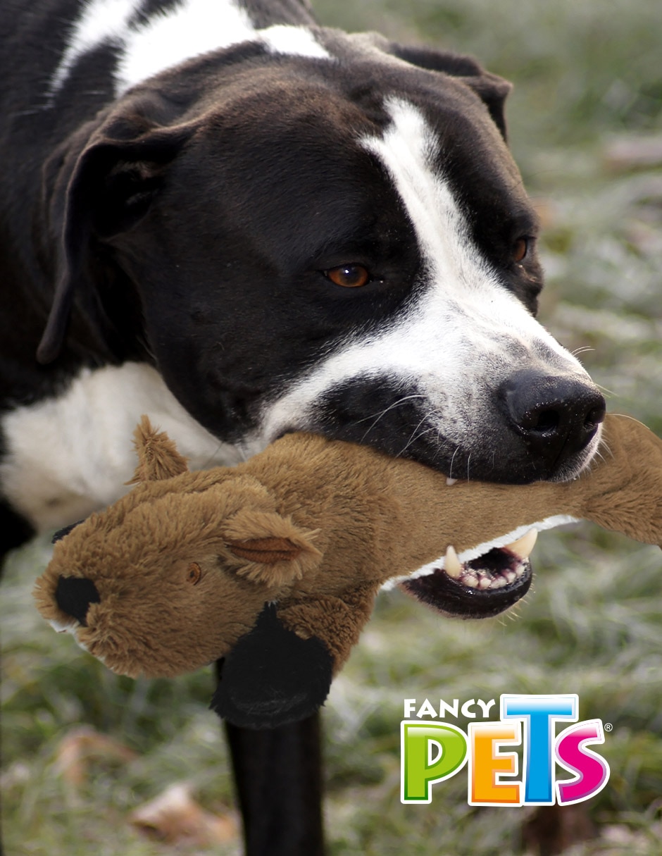 Peluche para perro Nutria 2