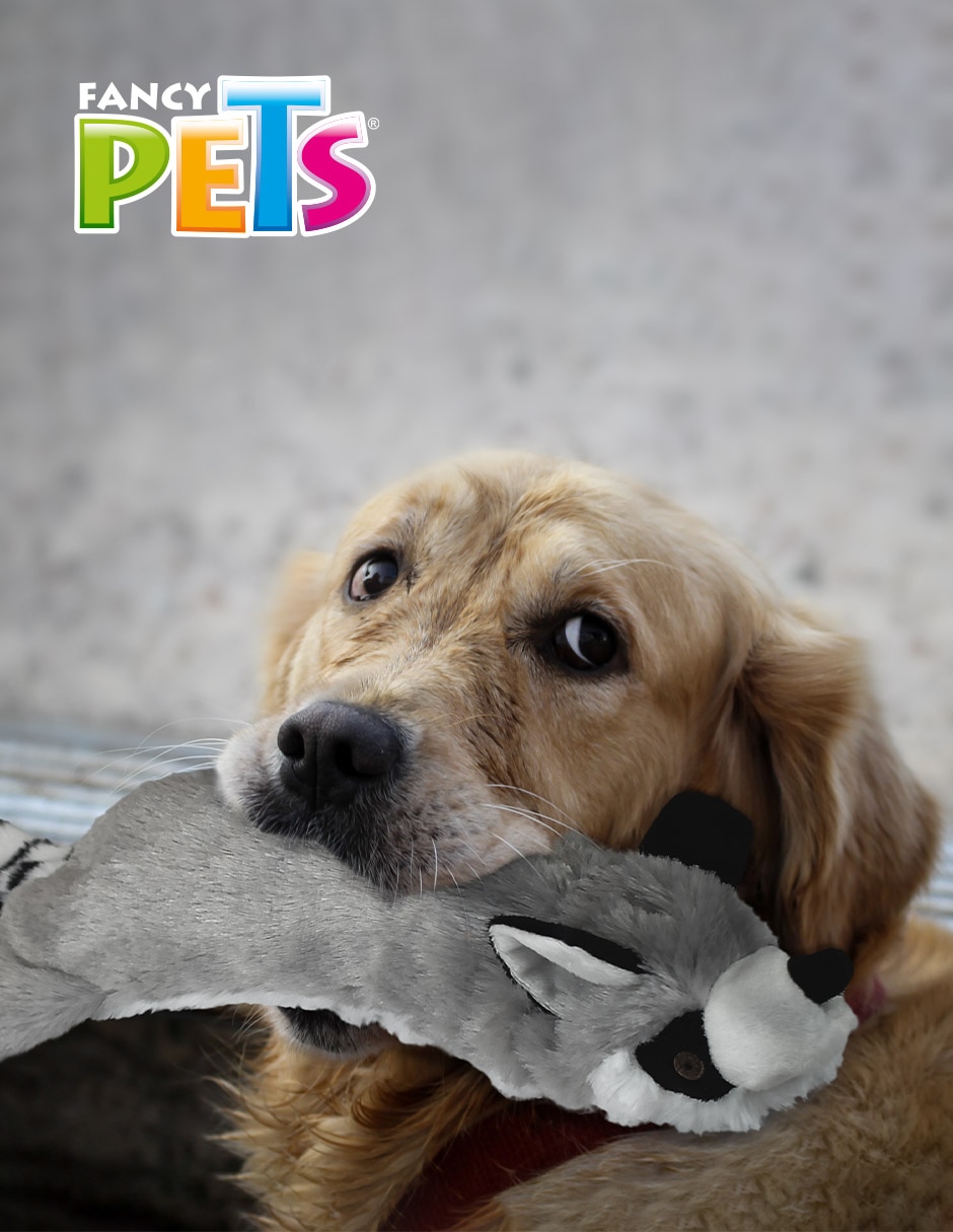 Peluche para perro Lémur 2