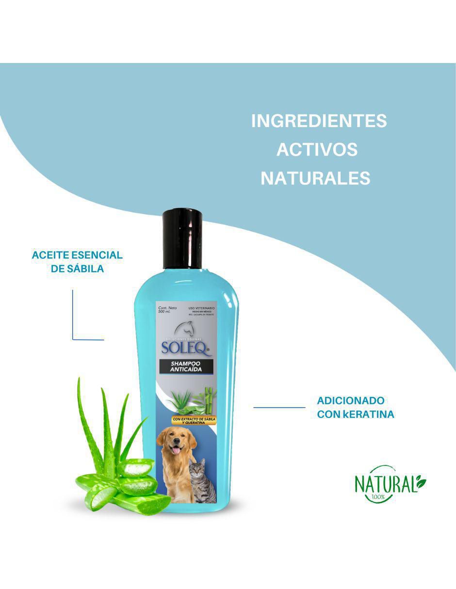 Shampoo para perro y gato 4