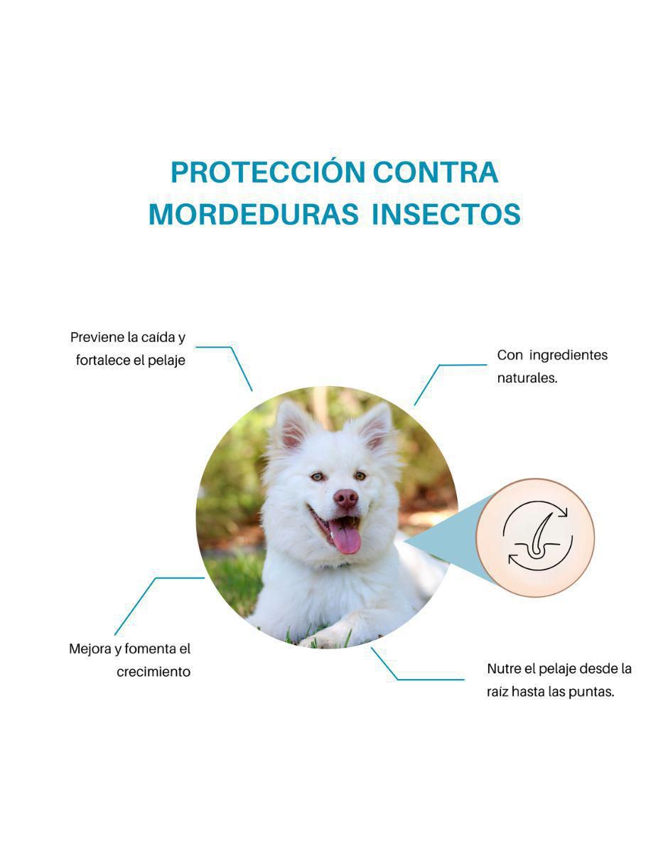 Shampoo para perro y gato 5