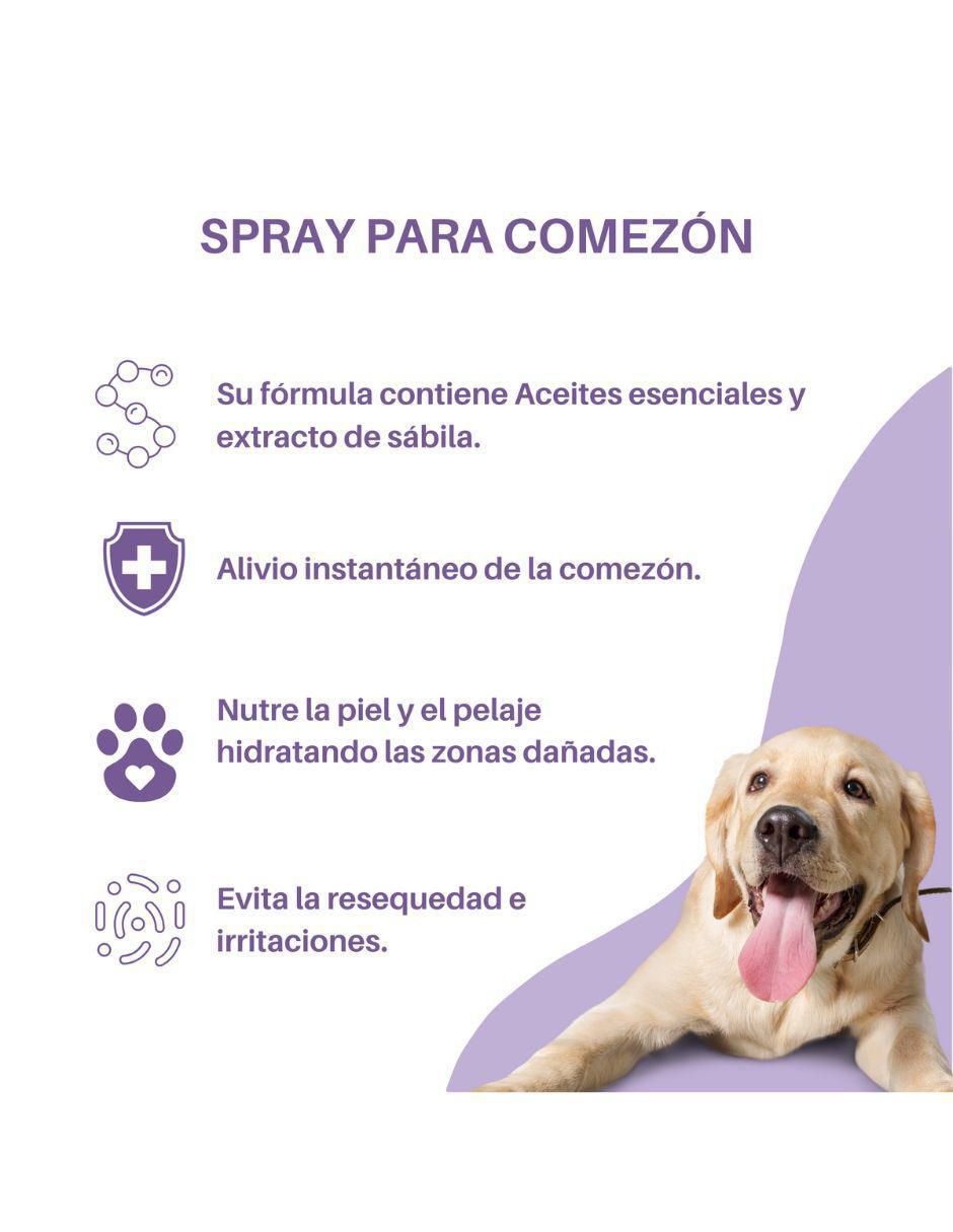 Kit de bienestar para mascota 5