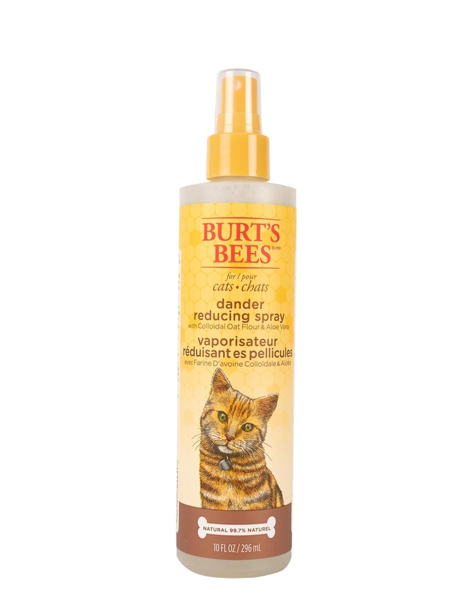 Shampoo para gato