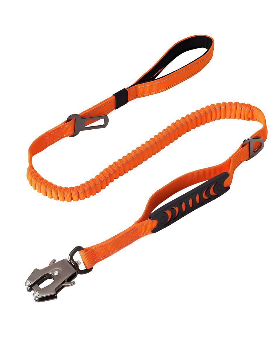 Correa para perro