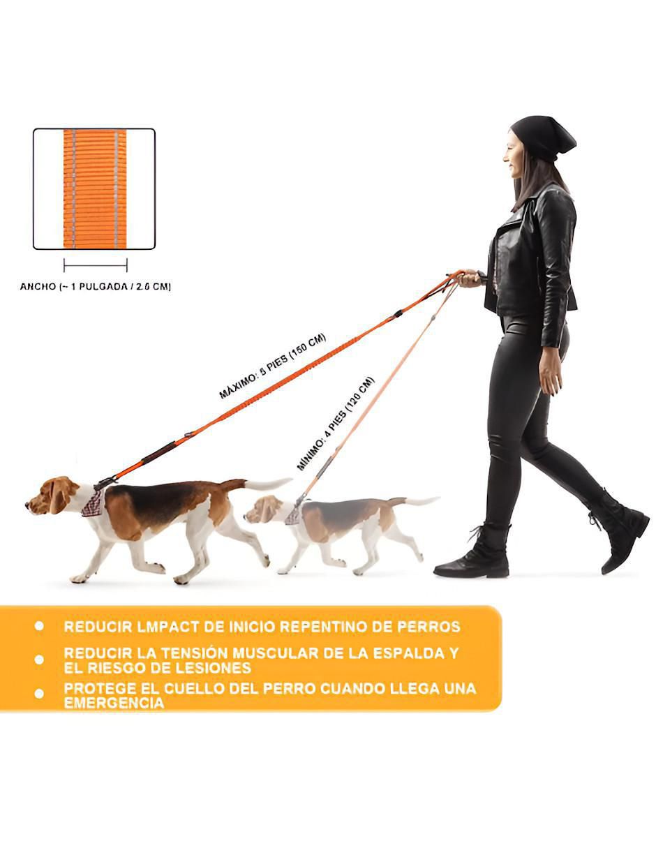Correa para perro 5