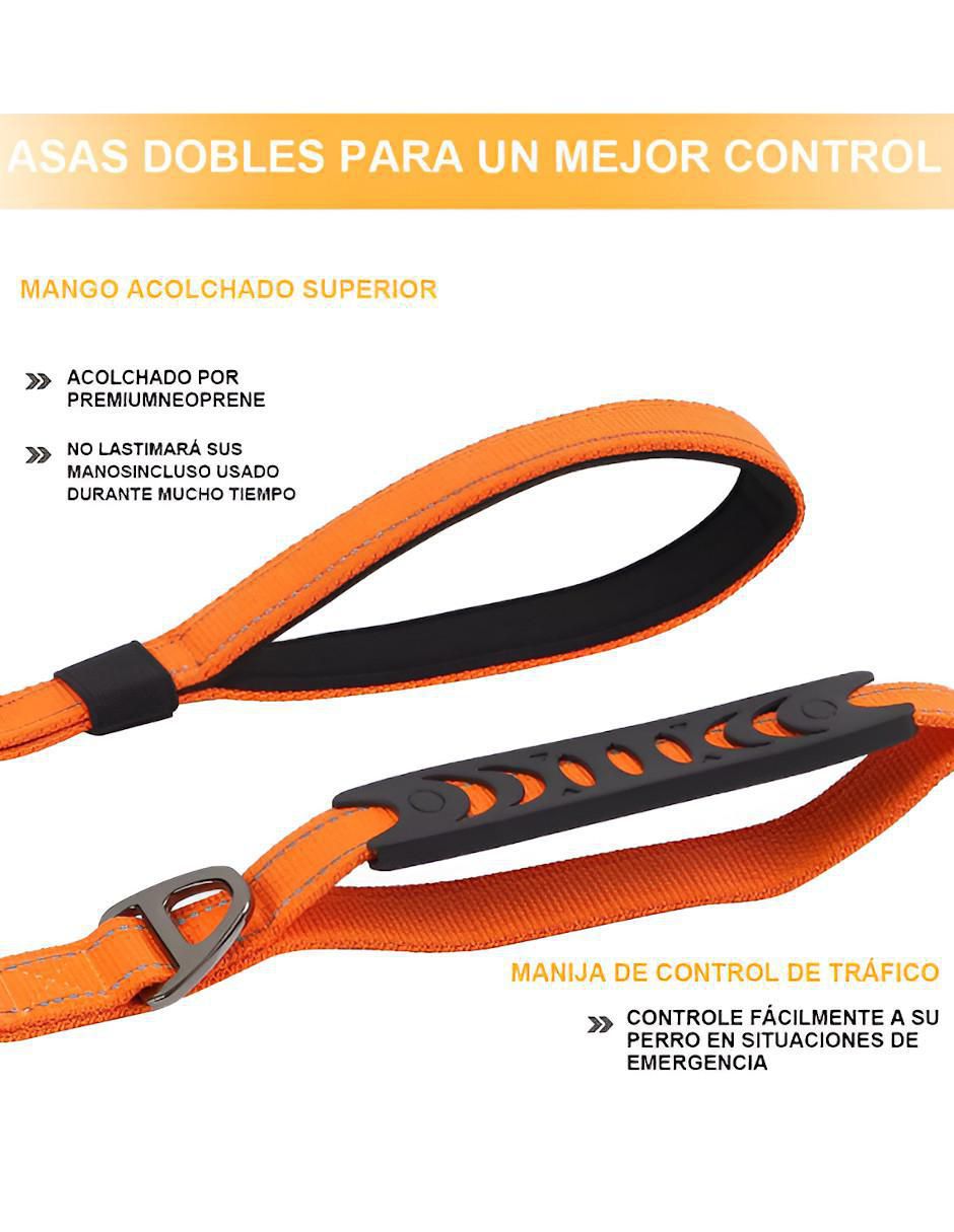 Correa para perro 3