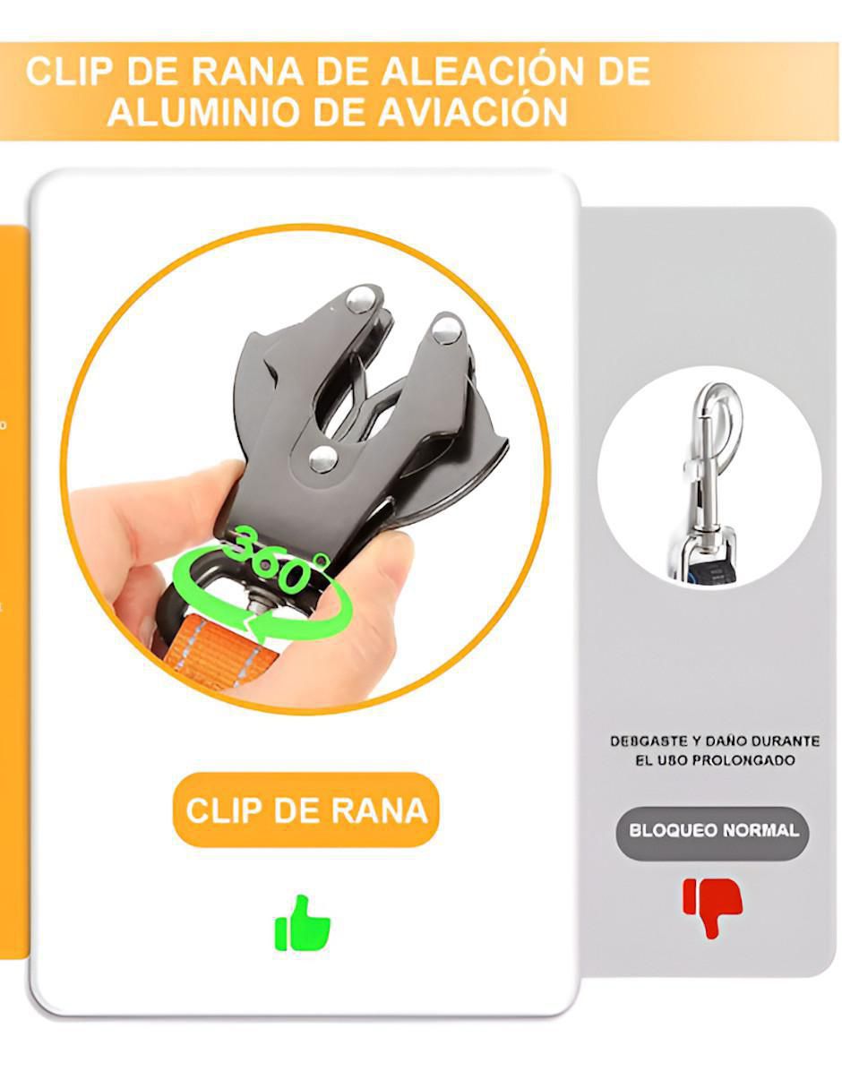 Correa para perro 4