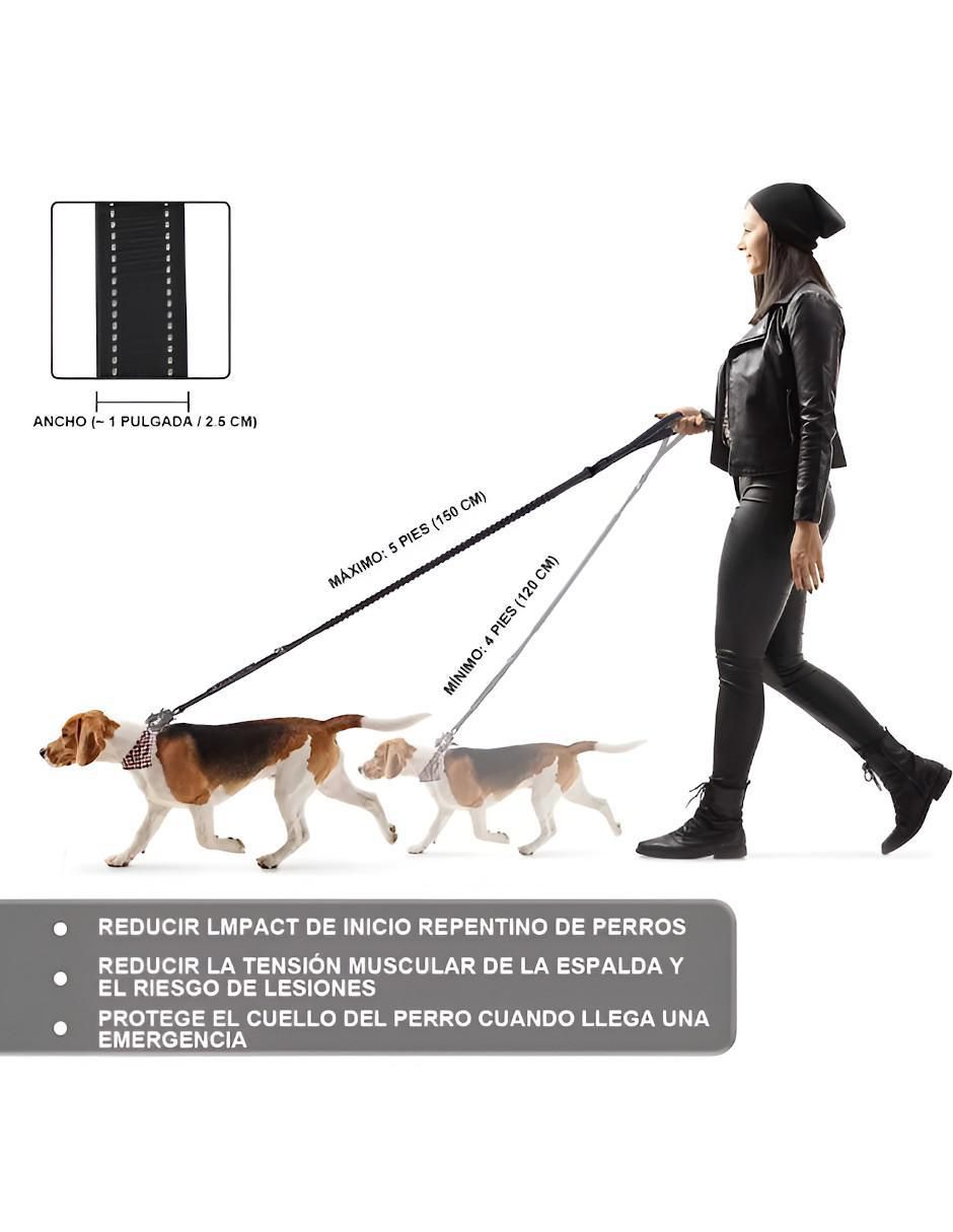 Correa para perro 5